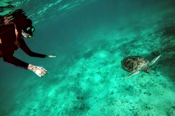 Private Cenote & Snorkeling Tour with Turtles in Akumal - Stop 1: Taak Bi Ha cenote snorkeling in a limestone cavern