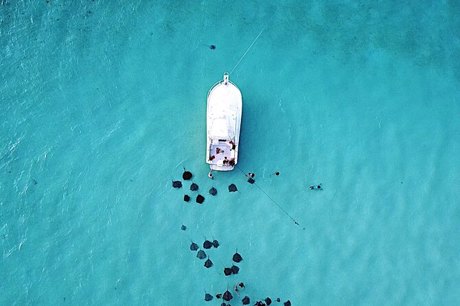 Private Charter 34ft Express Cruiser Stingay City Reef Snorkeling - Key highlights at a glance