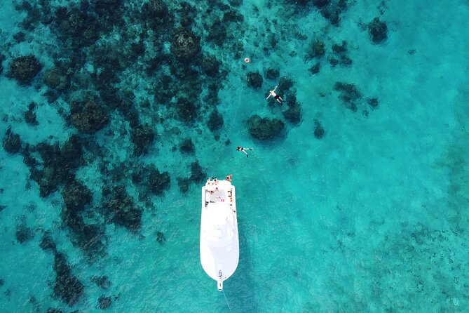 Private Charter 34ft Express Cruiser Stingay City Reef Snorkeling - Starfish Point: Beach Time You Can Feel
