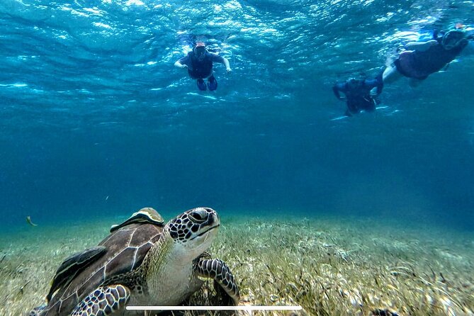 Private Charter 34ft Express Cruiser Stingay City Reef Snorkeling - Rum Point and Reef Snorkeling: Where the Water Changes Mood