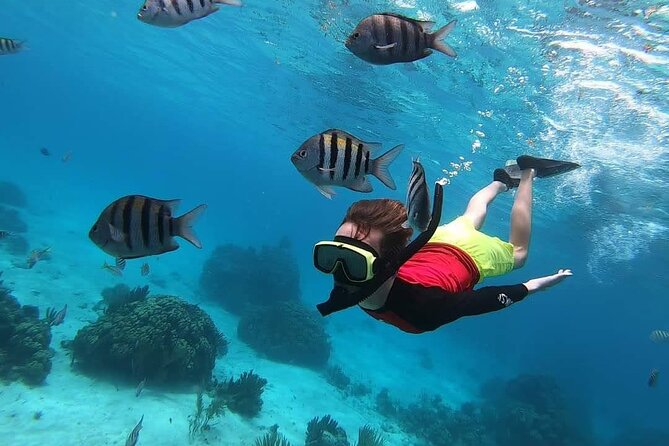 Private Charter 34ft Express Cruiser Stingay City Reef Snorkeling - Boat Comfort That Makes the Day Easier