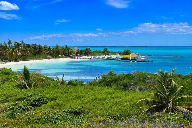 Private Escape: Isla Contoy & Isla Mujeres with Snorkeling - Morning logistics from Playa del Carmen to Punta Sam