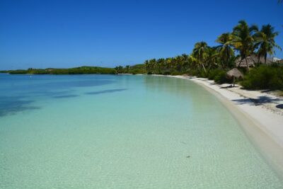 Private Escape: Isla Contoy & Isla Mujeres with Snorkeling - Isla Contoy National Park: birds, a short eco-walk, and beach relaxation