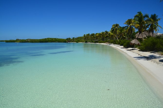 Private Escape: Isla Contoy & Isla Mujeres with Snorkeling - Isla Contoy National Park: birds, a short eco-walk, and beach relaxation