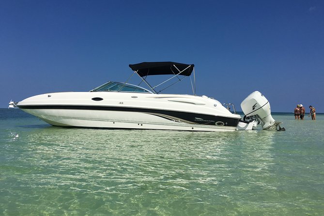 Private Half Day Stingray City, Snorkeling and Starfish Beach Tour - Key things to know