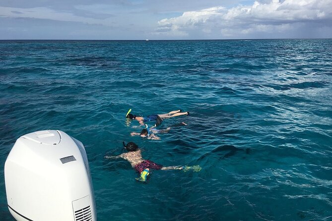 Private Half Day Stingray City, Snorkeling and Starfish Beach Tour - Why Private Stingray City Feels Different Than the Usual Boat Lines