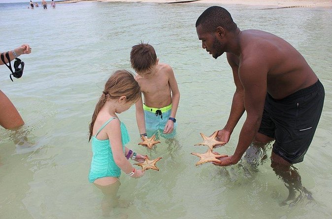 Private Half Day Stingray City, Snorkeling and Starfish Beach Tour - Coral Gardens Snorkeling (8–10 Feet): What You’ll See and What to Expect