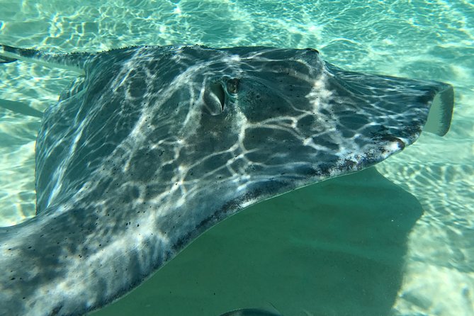 Private Half Day Stingray City, Snorkeling and Starfish Beach Tour - The Boat, the Gear, and the Comfort Stuff You’ll Actually Use