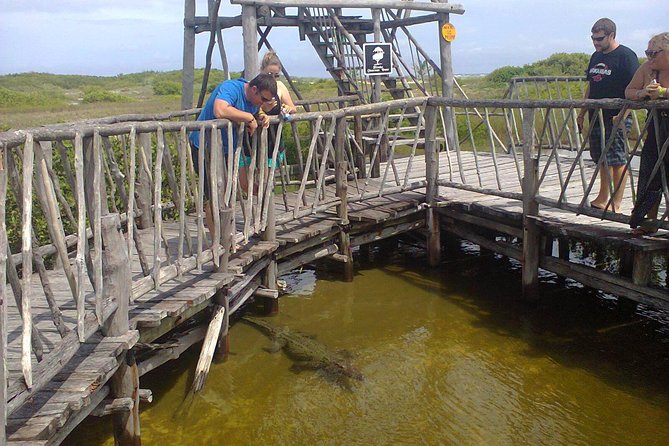 Private Jeep Excursion in Cozumel with Lunch and Snorkeling - Punta Sur Eco Beach Park: Big Views and a Nature-First Stop