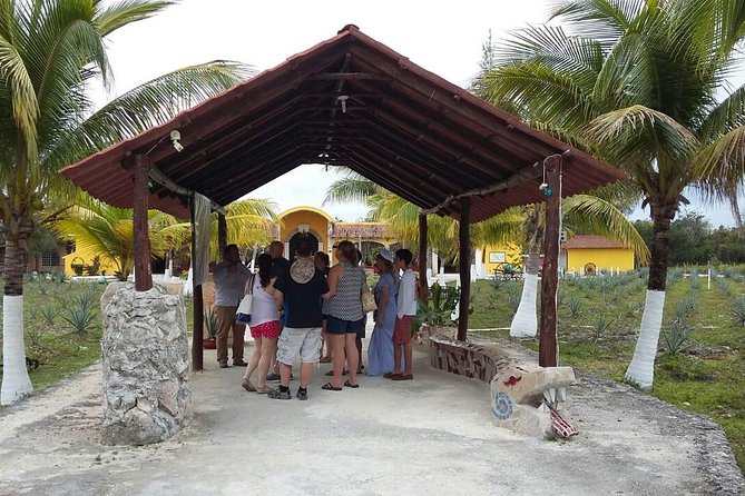 Private Jeep Excursion in Cozumel with Lunch and Snorkeling - San Gervasio Mayan Archaeological Site: Meaningful Ruins Without the Rush