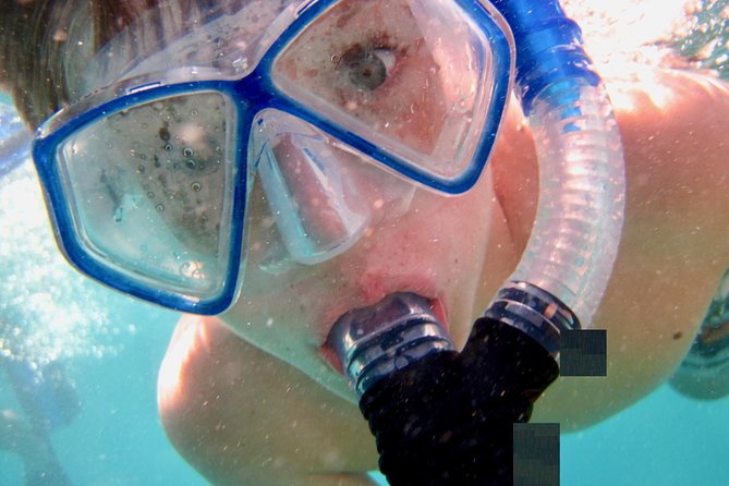 Private Looe Key Snorkel from Big Pine Key - Looe Key Marine Sanctuary: the reef you’re actually snorkeling