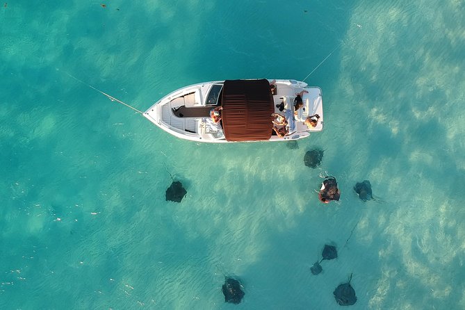 Private, luxury, custom charters to Stingray City, Snorkeling & More - Key things I’d circle before you book