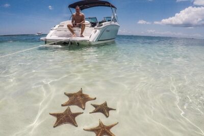 Private, luxury, custom charters to Stingray City, Snorkeling & More - Stingray City: where the crew turns nerves into confidence