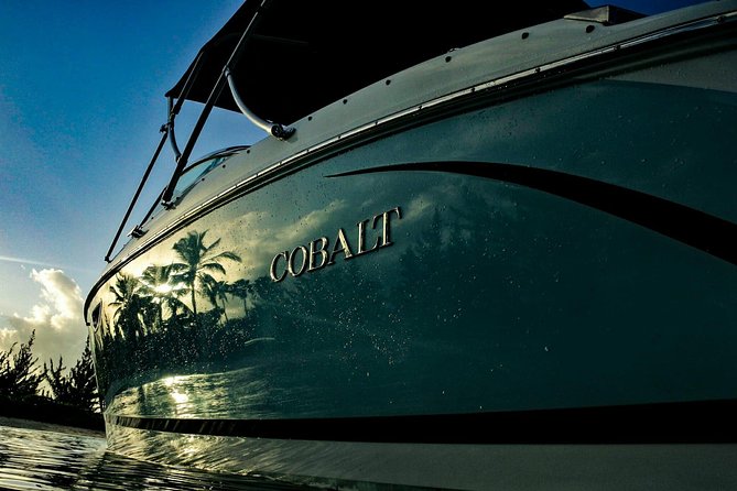 Private, luxury, custom charters to Stingray City, Snorkeling & More - Timing, timing, timing: how the day stays fun even with kids