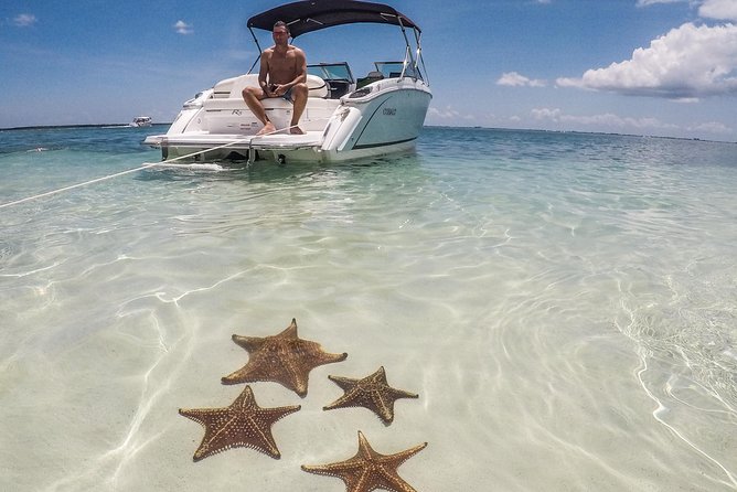 Private, luxury, custom charters to Stingray City, Snorkeling & More - Stingray City: where the crew turns nerves into confidence