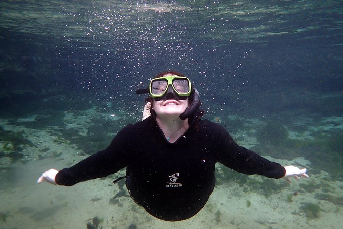 Private 'OG' Manatee Snorkel Tour with Guide for up to 10 people - Photos above and below water: great memories, but say what you want