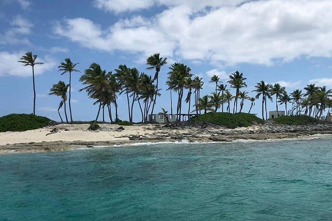 Private Rose Island, Swimming Pigs, Snorkeling and Turtles - Stop: Rose Island beaches plus snorkeling with real fish