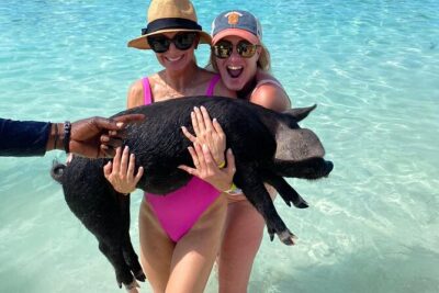 Private Rose Island, Swimming Pigs, Snorkeling and Turtles - Cruise-port transfers and the dock reality (don’t let this surprise you)