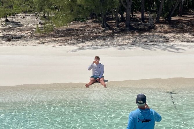 Private Rose Island, Swimming Pigs, Snorkeling and Turtles - Green Cay turtles: spotting sea turtles when wind and luck cooperate