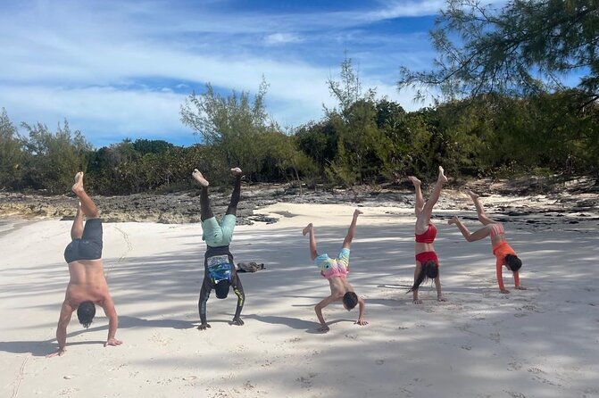 Private Rose Island, Swimming Pigs, Snorkeling and Turtles - Optional swimming pigs: how to set expectations and avoid sticker shock
