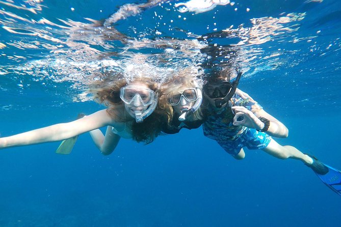 Private snorkel with 2 stops in Aruba - Eco-friendly! - Price and Value: Is $148.73 Worth It?
