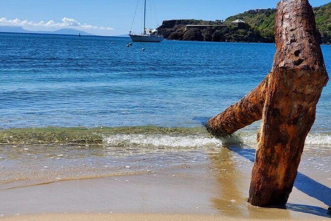 Private Snorkeling and Sightseeing Tour of Antigua - What you can spot underwater (and why Johnny finds it)
