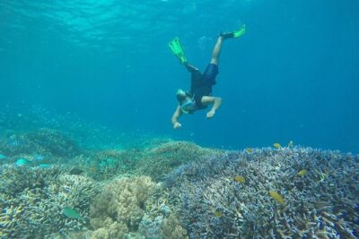 Private Snorkeling Gili Island (Coral, Statue and Turtle) - The Scooter Snorkel Around Gili Trawangan (Why It’s Not Just Another Reef)