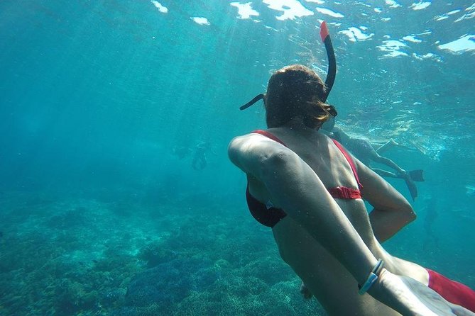 Private Snorkeling Gili Island (Coral, Statue and Turtle) - Coral Point on Gili Meno: The Fish and Coral “Everyday Wow”