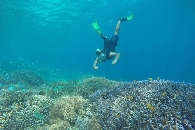 Private Snorkeling Gili Island (Coral, Statue and Turtle) - The Scooter Snorkel Around Gili Trawangan (Why It’s Not Just Another Reef)
