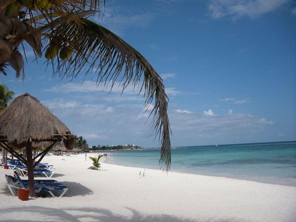 Private Snorkeling with Sea Turtles in Akumal Beach - Why This Akumal Turtle Snorkel Feels More Worth It