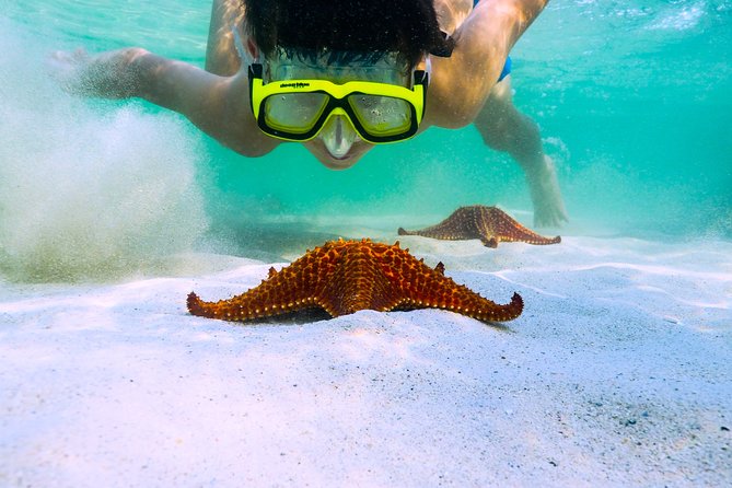 Private Stingray City and Snorkeling Half Day Charter for 6 Guest - Key points at a glance