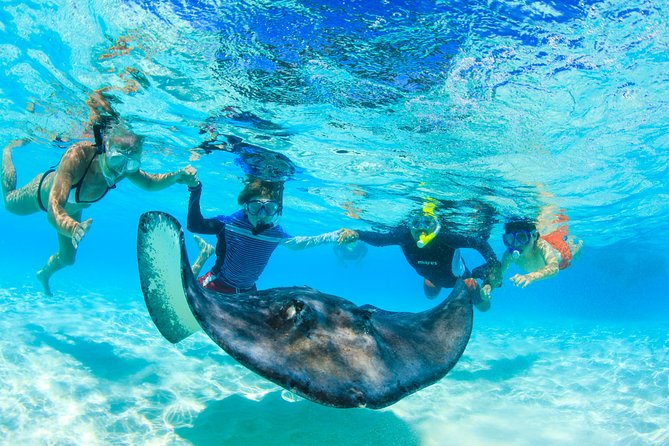 Private Stingray City and Snorkeling Half Day Charter for 6 Guest - Starfish Point: shallow water, golden sand, and photo-friendly calm