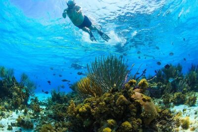 Private Stingray City and Snorkeling Half Day Charter for 6 Guest - Camana Bay Harbor logistics: easy start, one place to find