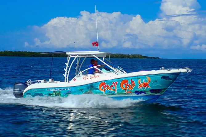 Private Stingray City and Snorkeling Half Day Charter for 6 Guest - Stingray City for about an hour: holding and feeding with safety help