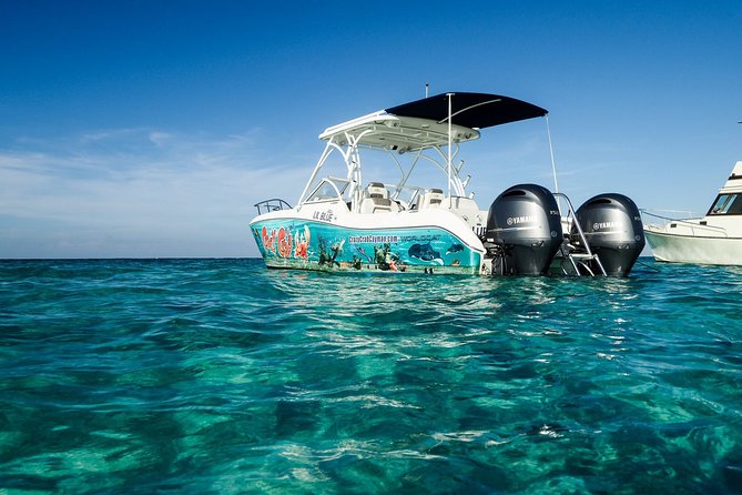 Private Stingray City and Snorkeling Half Day Charter for 6 Guest - Price and value: what $1,100 covers (and who it’s for)