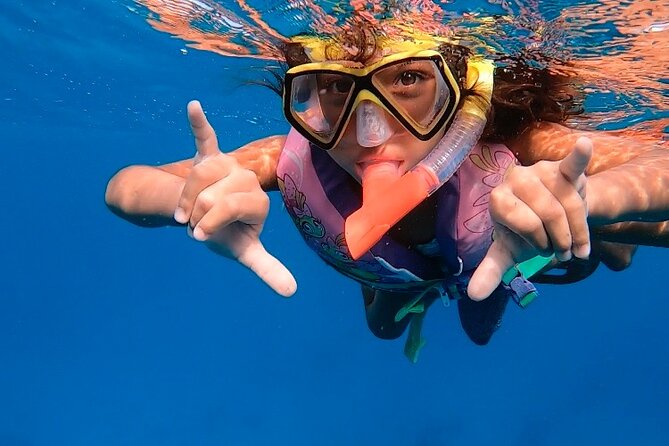 Private Turtle Spotting Snorkeling Excursion in Aruba - How you swim determines whether turtles come close