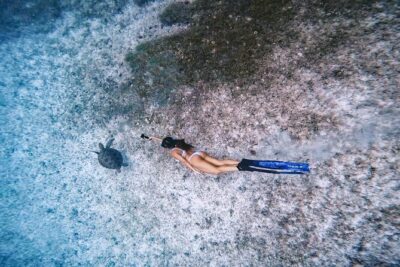 Private Turtle Spotting Snorkeling Excursion in Aruba - Guides who are certified lifeguards, plus camera support