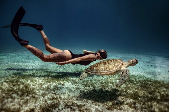 Private Turtle Spotting Snorkeling Excursion in Aruba - Video keepsake value: why this tour feels more than $97