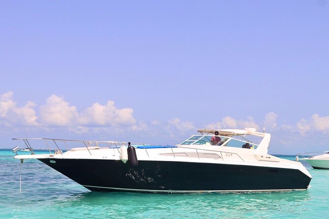 Private Yacht 46ft Sea Ray Snorkel up to 15 pax 23P2 - Meeting at Calle Sunset Marina: Where Your Charter Starts