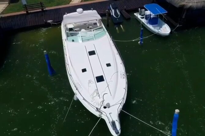 Private Yacht 46ft Sea Ray Snorkel up to 15 pax 23P2 - Crew Style, Cleanliness, and Passenger Comfort: What to Expect in Real Life