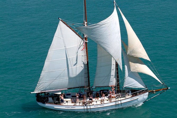 Providence Whitehaven Beach Sailing and Snorkeling Cruise - Key things you’ll notice on this Providence day sail