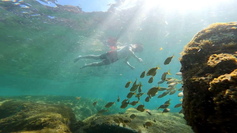 Puerto Mogán: Guided Adventure Kayak Tour in Caves & Snorkel - Key Highlights You’ll Care About