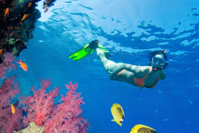 Puerto Morelos Catamaran Reef Sail and Snorkel - Snorkeling at the National Reef Park: great visibility, real swimming