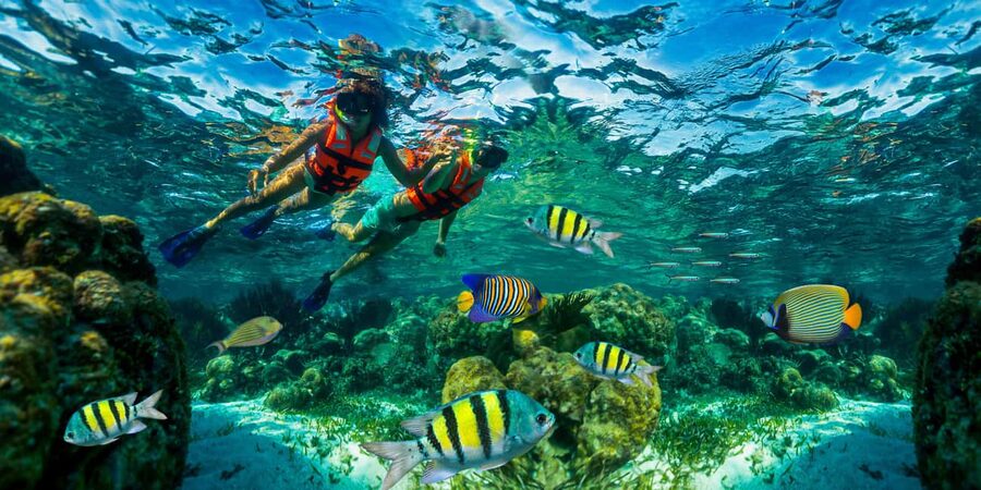 Puerto Morelos: Snorkel, Town Walk, Tequila & Beach Lunch - Key things to know before you go