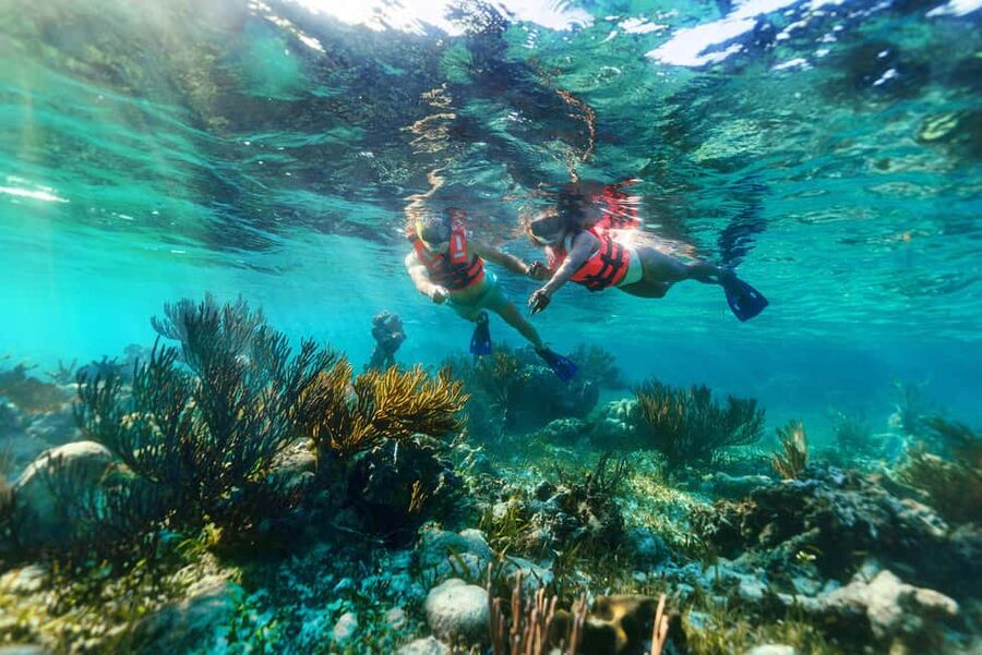 Puerto Morelos: Snorkel, Town Walk, Tequila & Beach Lunch - Break time and switching from saltwater to normal life