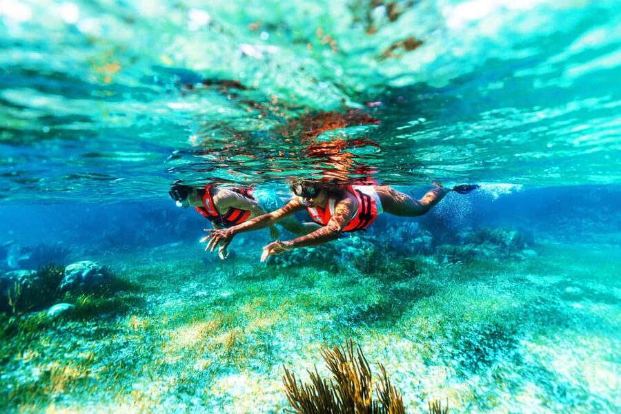 Puerto Morelos: Snorkel, Town Walk, Tequila & Beach Lunch - Tequila tasting + a Puerto Morelos town walk that doesn’t feel like a chore