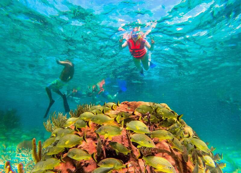 Puerto Morelos: Snorkel, Town Walk, Tequila & Beach Lunch - Price reality check: what $39 covers and the cash extras