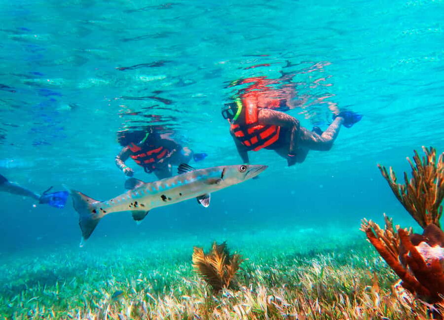 Puerto Morelos: Snorkel, Town Walk, Tequila & Beach Lunch - Door-to-door timing: pickup, van ride, and a real safety briefing