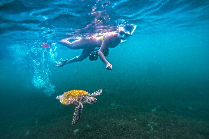Puerto Rico Jet Snorkel with Turtles and Videos in San Juan - Escambron Beach is the launch pad for turtle spotting