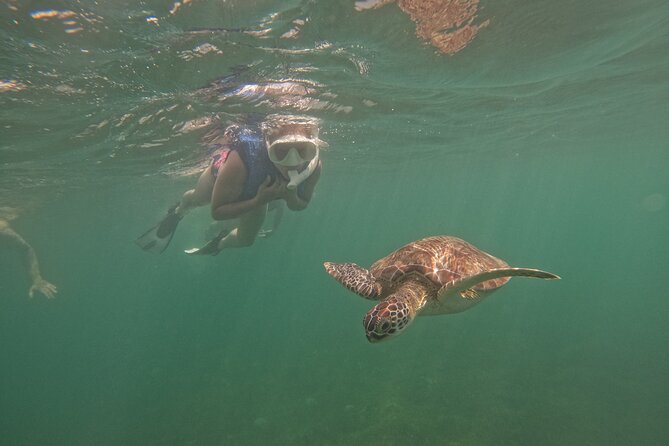 Puerto Rico Jet Snorkel with Turtles and Videos in San Juan - Safety briefing and guide coaching: what good looks like